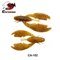 CA102