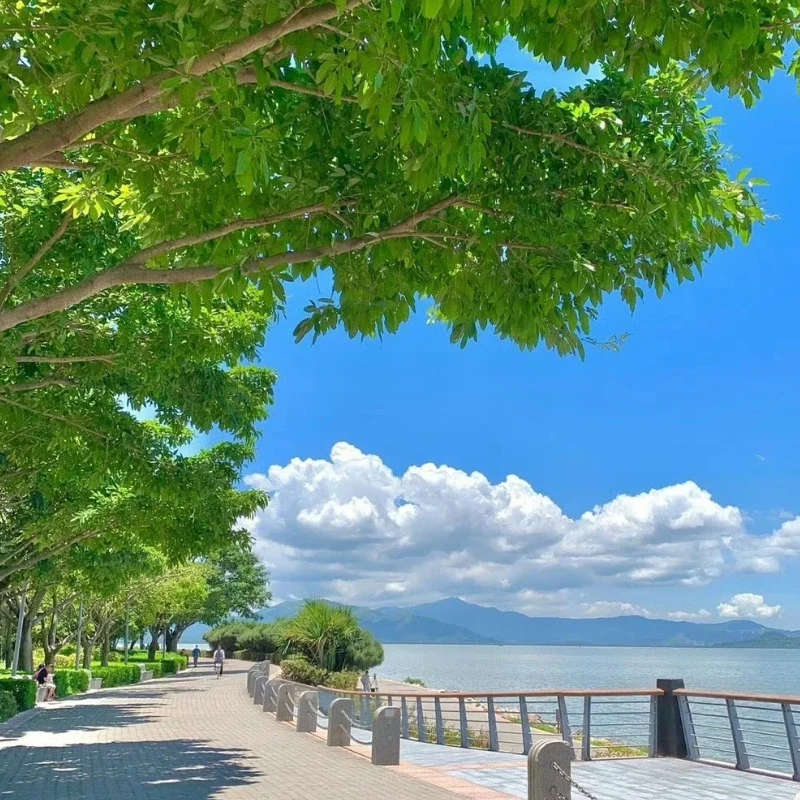 

JX Servo PDI-HV9050MG Digital Servo - 50KG Torque, 160° Angle, Metal Gear, for Robotics & Hobby Education