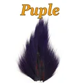 Puplr