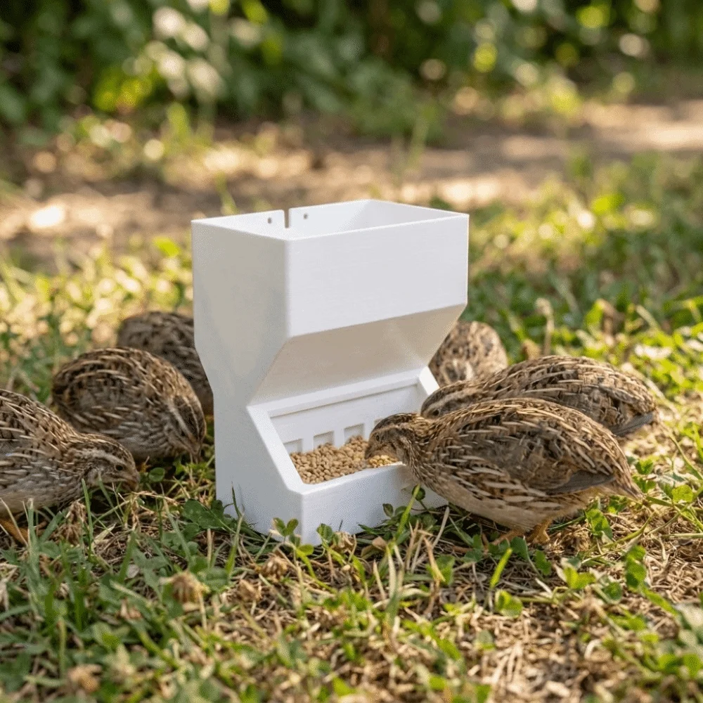 Contenitore per alimenti stamp - 3D Printing In Food recensione e prezzo