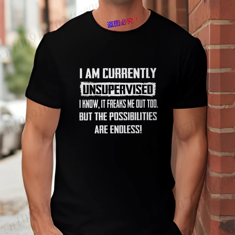I Am Currently Unsupervised T-shirt Hilarious Funny Saying Gift for Him Birthday Gifts Funny Men's Tee Shirt Graphic Y2k Tops