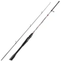 Spinning Rod