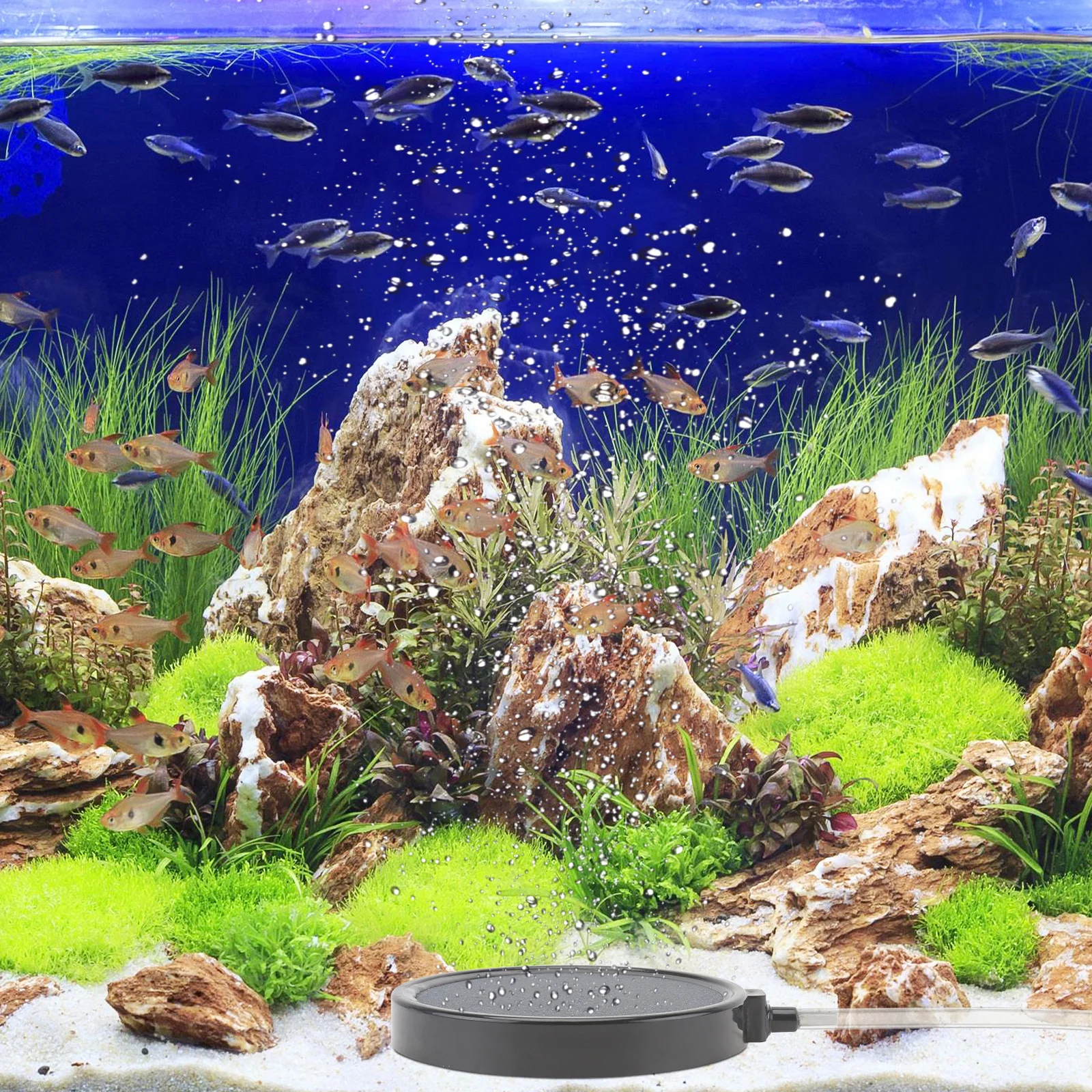 

1pc Air Stone Disc High Temperature Bubble Stone For Fish Tank Aquarium Oxygen Diffuser Reusable Durable Aerator Pet