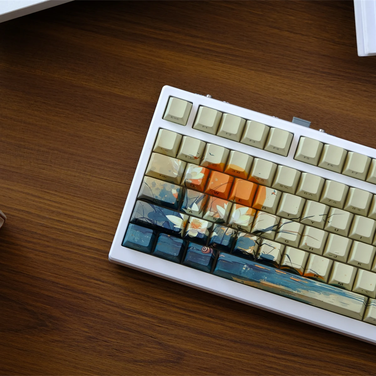 

lotus Dye Sublimation PBT Keycap 130 Keys Side-lit Shine Through Keycaps Cherry Profile for MX Switch Gaming Keyboard