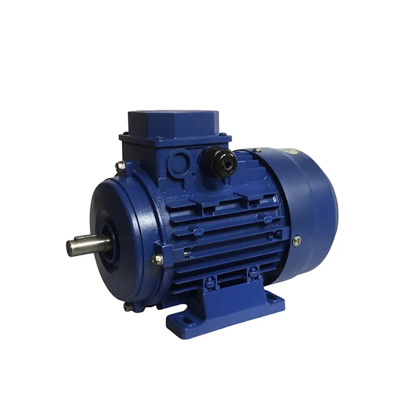 TYCD-712-4 Permanent Magnet Synchronous Motor (Vertical/Horizontal)