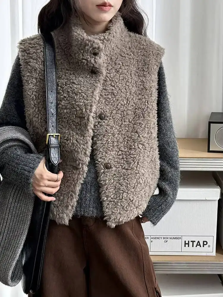 

Женский хаки, бежевый, толстый, теплый, большой размер, жилет из овечьей шерсти, новый воротник-стойка без рукавов, модный прилив, осень-зима