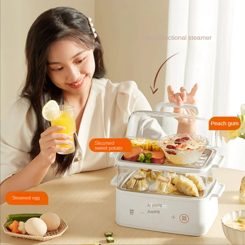 Il vapore elettrico per uso domestico multifunzionale piccolo intelligente di grande capacità può essere riservato ufficiale