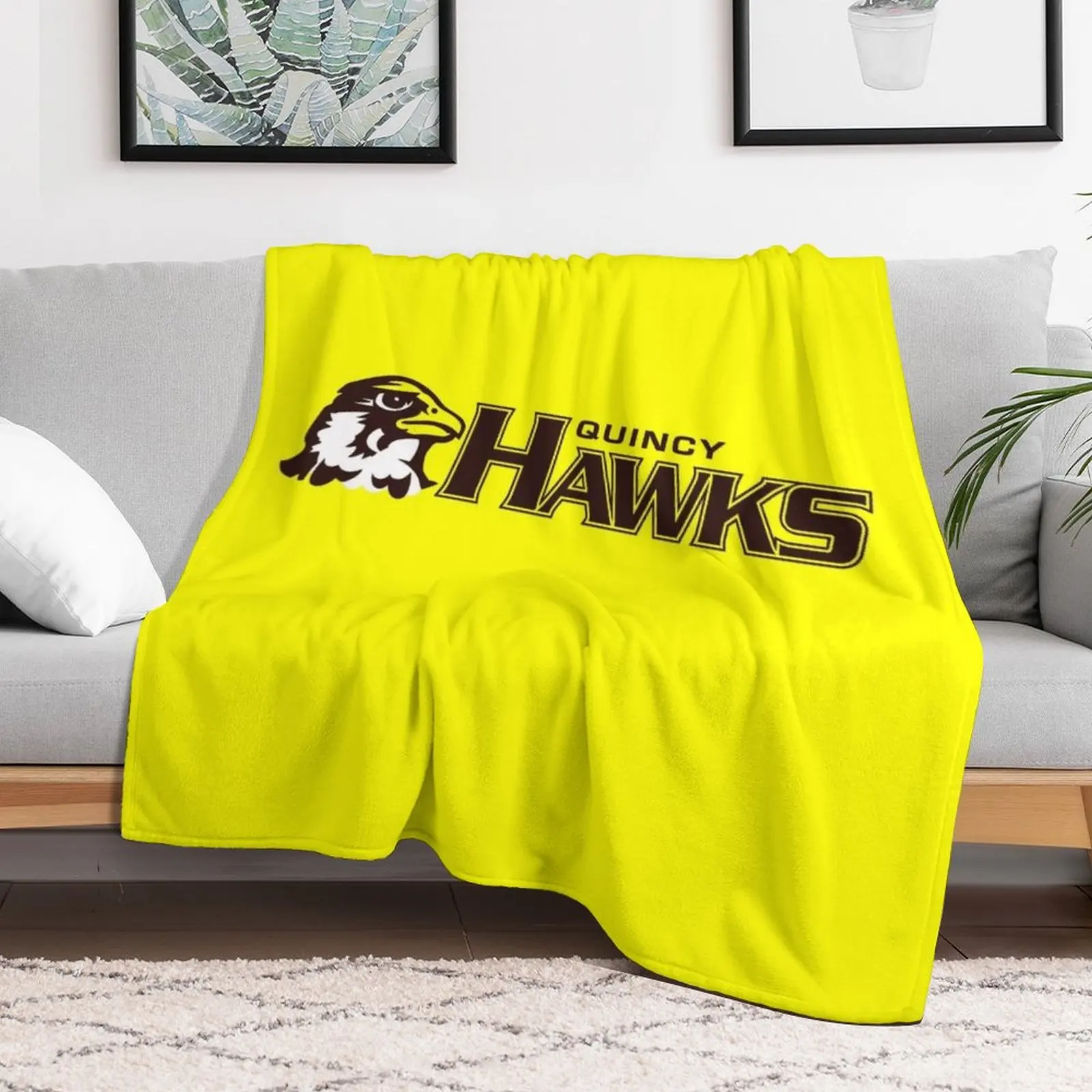 Quincy University Throw Blanket Luxury Throw Heavy Summer Winter beds Blankets