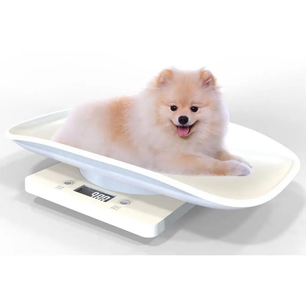 High Accuracy Small Pet Digital Scale Portable Animal Weight Scales for Hamster Parrot Cat Measuring