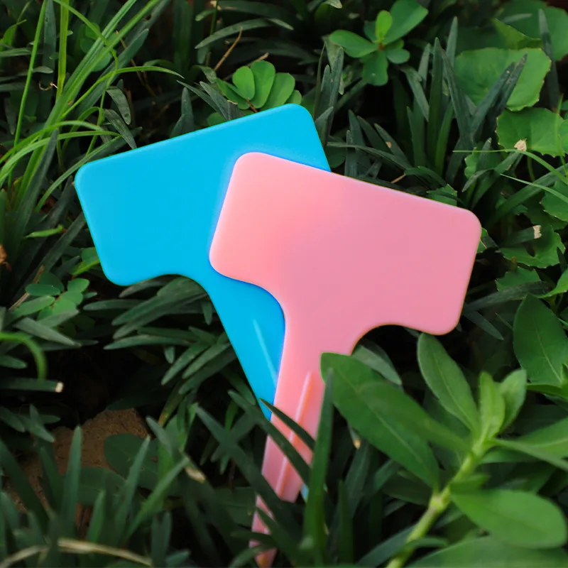 Second-generation gardening label Succulent plant Plastic mark plate Thickened Flower label Plug card Fast Delivery