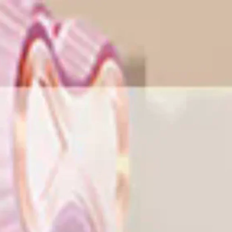 

Foot Massager Massage Roller Yoga Massage Ball Plantar Fascia Roller Muscle Relaxation Care Plastic Manual Foot Massager Rollers