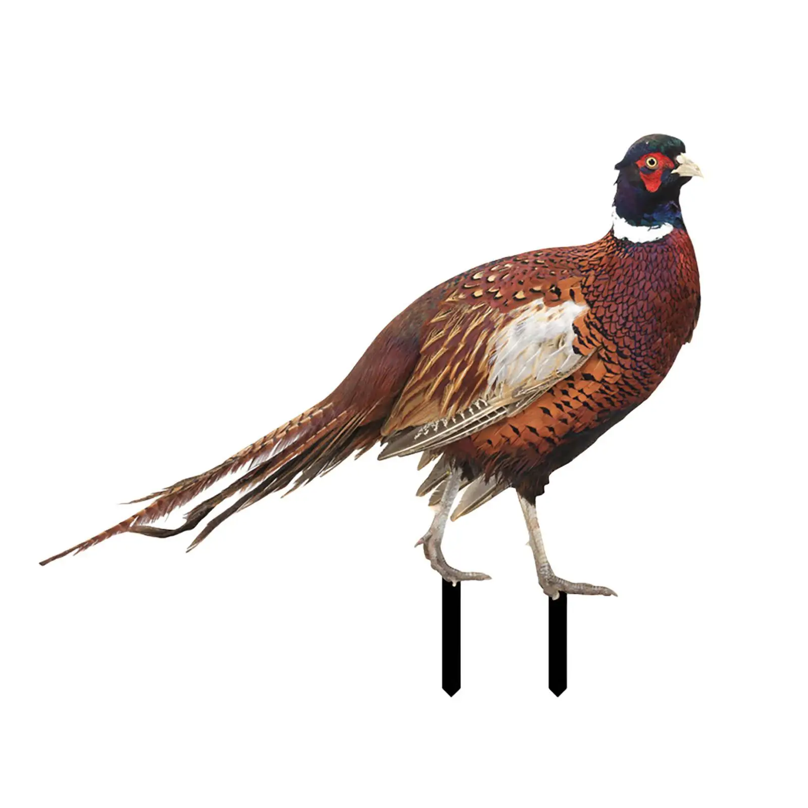 Pheasant Sculpture, Acrylic Yard Stake, Floor Decoration, Gifts, Landscape