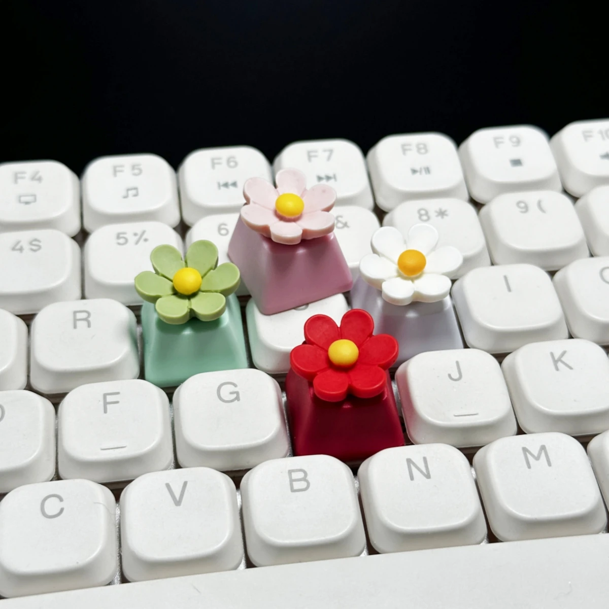 Oem R4 Macaron Bowk…