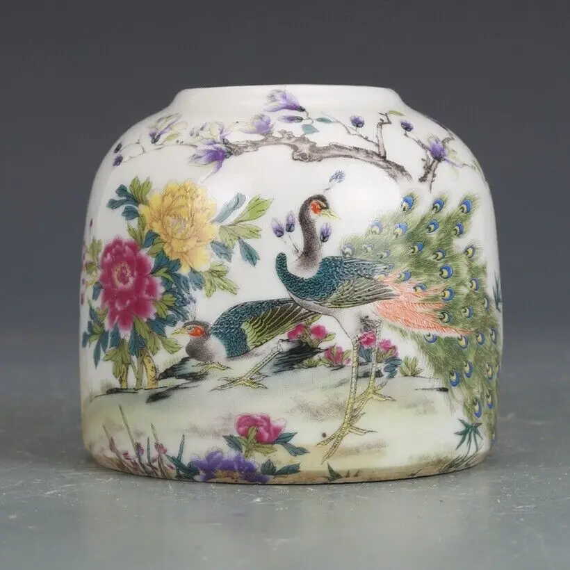 Old Chinese Porcelain Color Hand Painted Peacock Flowers Jar Pots Pen Wash