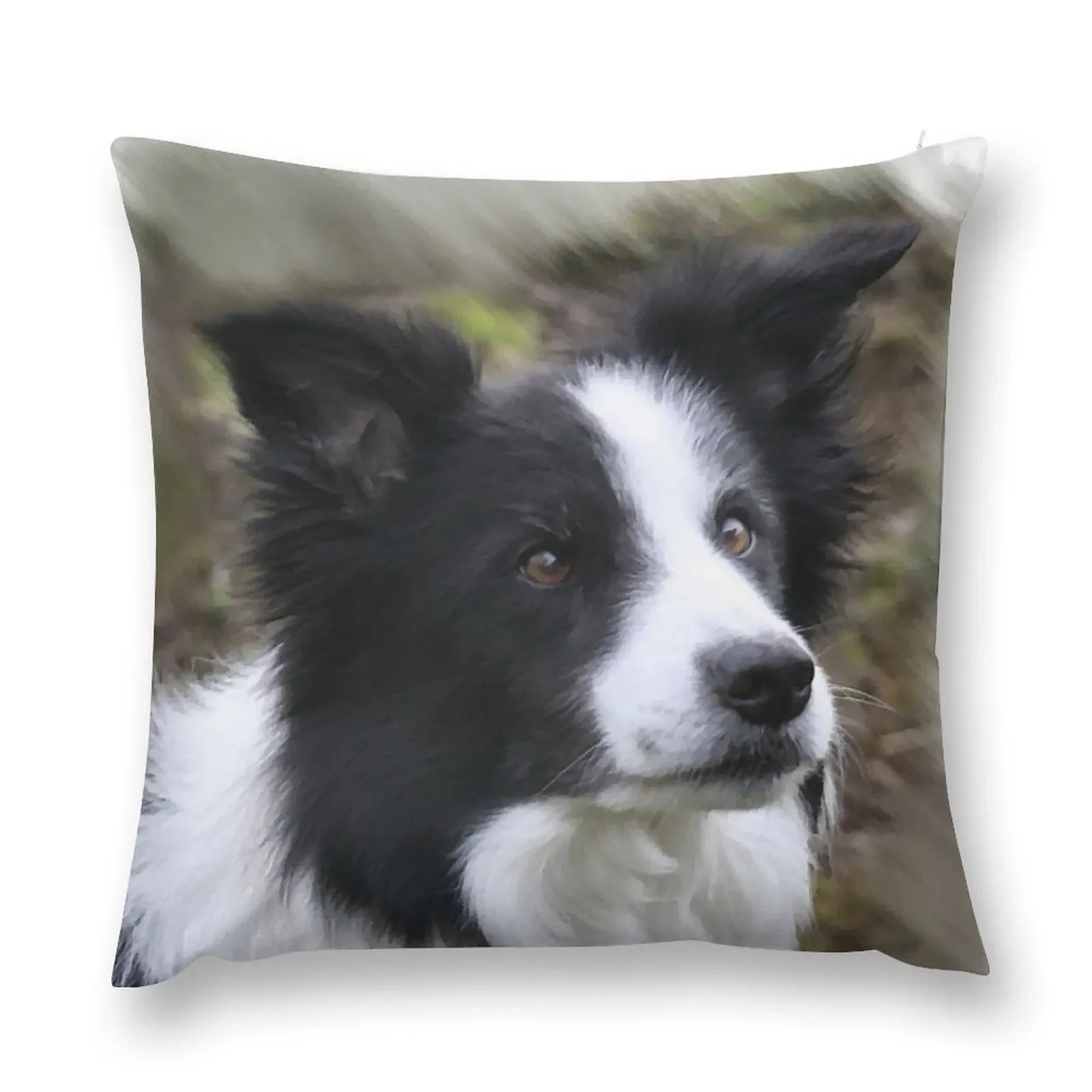 Border Collie Lover s Gifts Throw Pillow Anime christmas decorations for home 2025 pillow