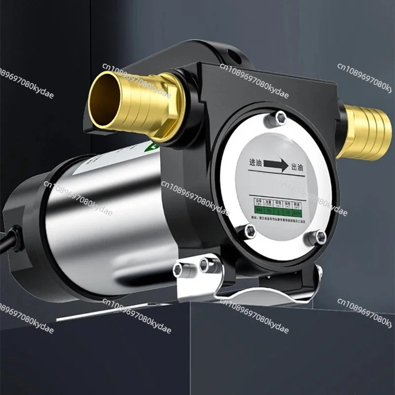 580W Self Priming Transfer Pump 12V 24V 220V Bidirectional 50L/min Liquid Dispensing Equipment