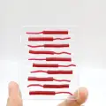 10pcs TL01 hong