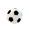 12cm-Football