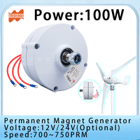 100W 12V 24V Low RPM With Base WT060 Controlle Rare Earth Permanent Magnet Generator for DIY Horizontal Wind Turbine Electric