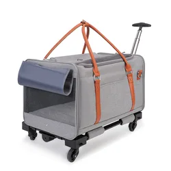 Carrito para gatos expandible grande con ruedas universales exteriores
