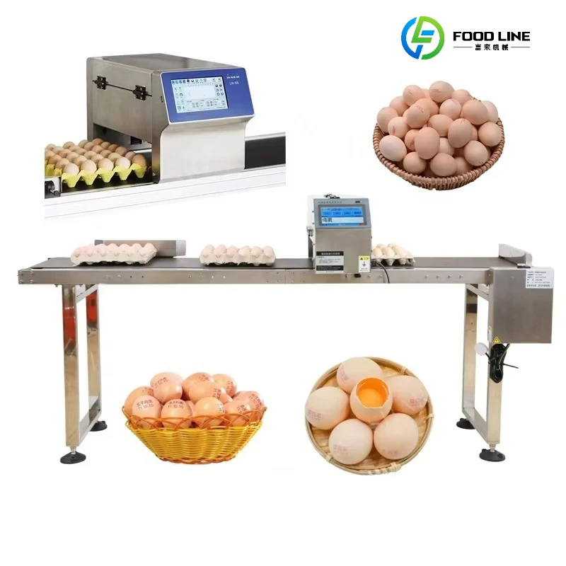 Egg Date Coding Machine Inkjet Printer with Solvent Ink  Automatic Cartridge Egg Printer QR Code Printer for Eggs Customized