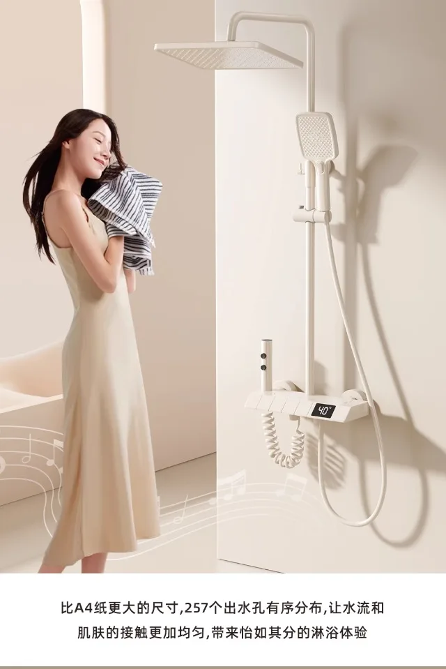 Haushaltsdusche, WC, Druckdüse, Regendusche