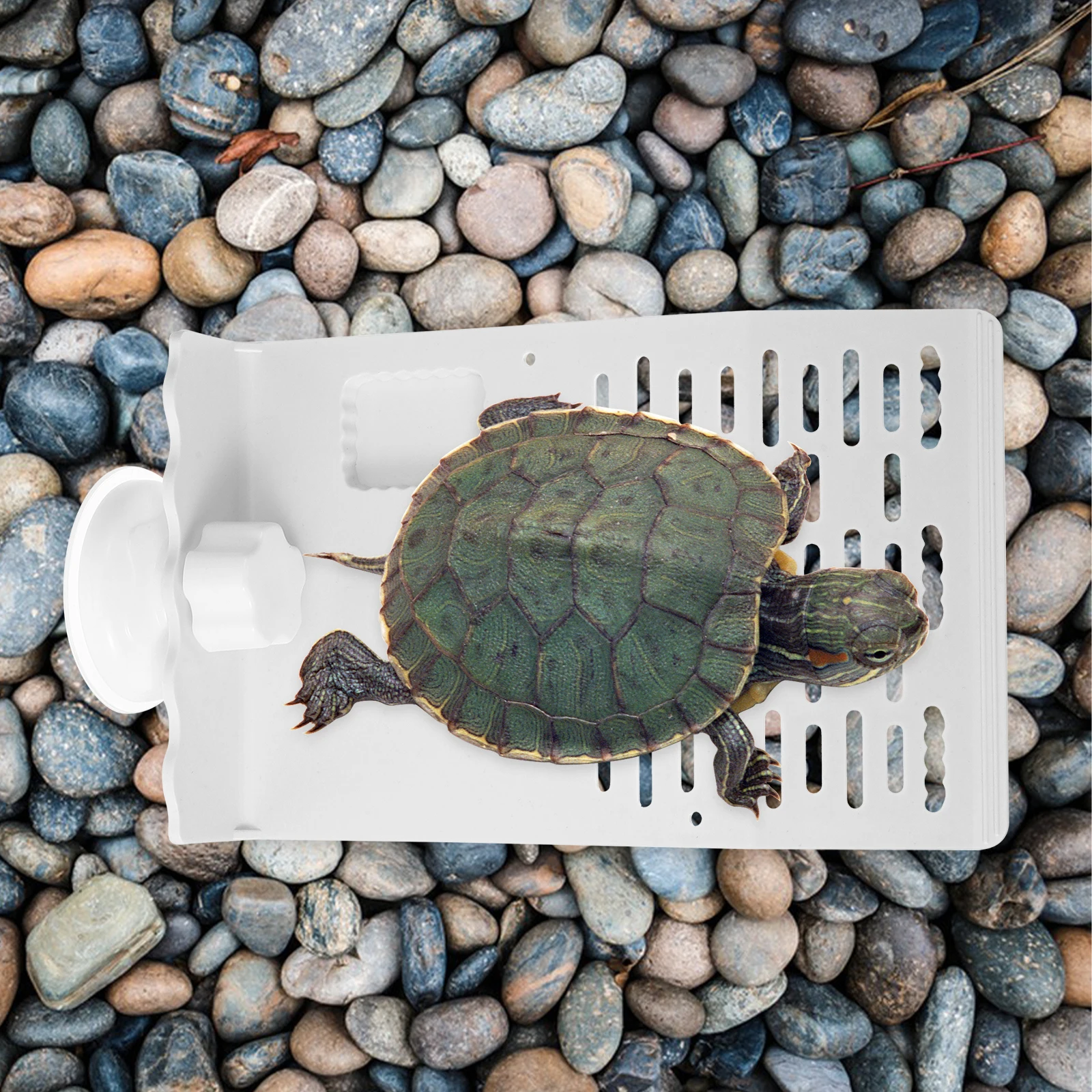 

Turtle Basking Platform Floating Resting Spot For Aquatic Turtles Amphibians Suction Cup Fixation Multi-Use Climbing Ramp