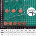 30pcs