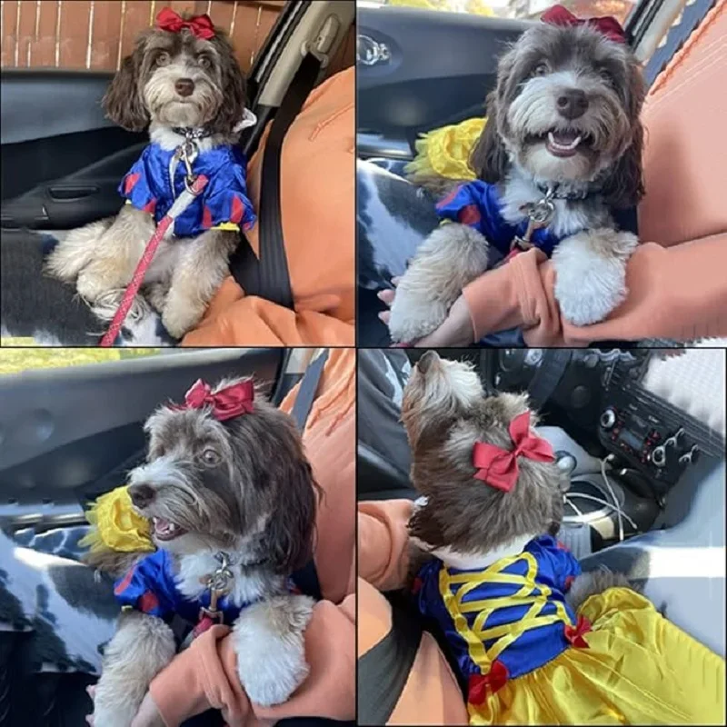 Pet Dress Snow White Pompadour Dress Halloween Costume Cosplay Christmas Holiday Party Special Event Dog cat