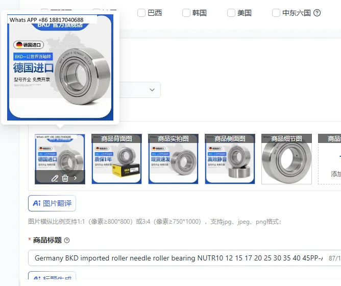 Germany BKD imported roller needle roller bearing NUTR10 12 15 17 20 25 30 35 40 45PP-A