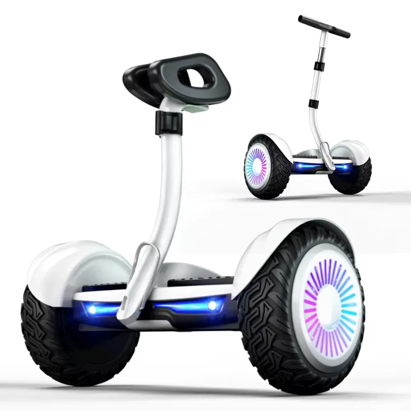 

Intelligent Electric Two-wheel Scooter 700W Motor 10-inch Lithium Battery, Steel Alloy Frame, Speed 12 Kilometers Per Hour