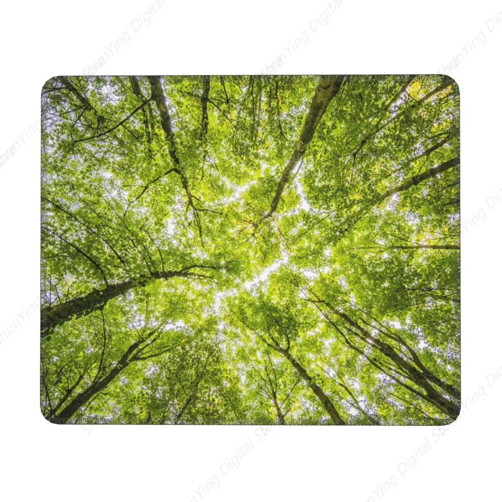 

Plant Forest Green Anti Slip Mouse Pad Suitable For Office Mouse Pads For Men's And Women's Laptops 18*22cm