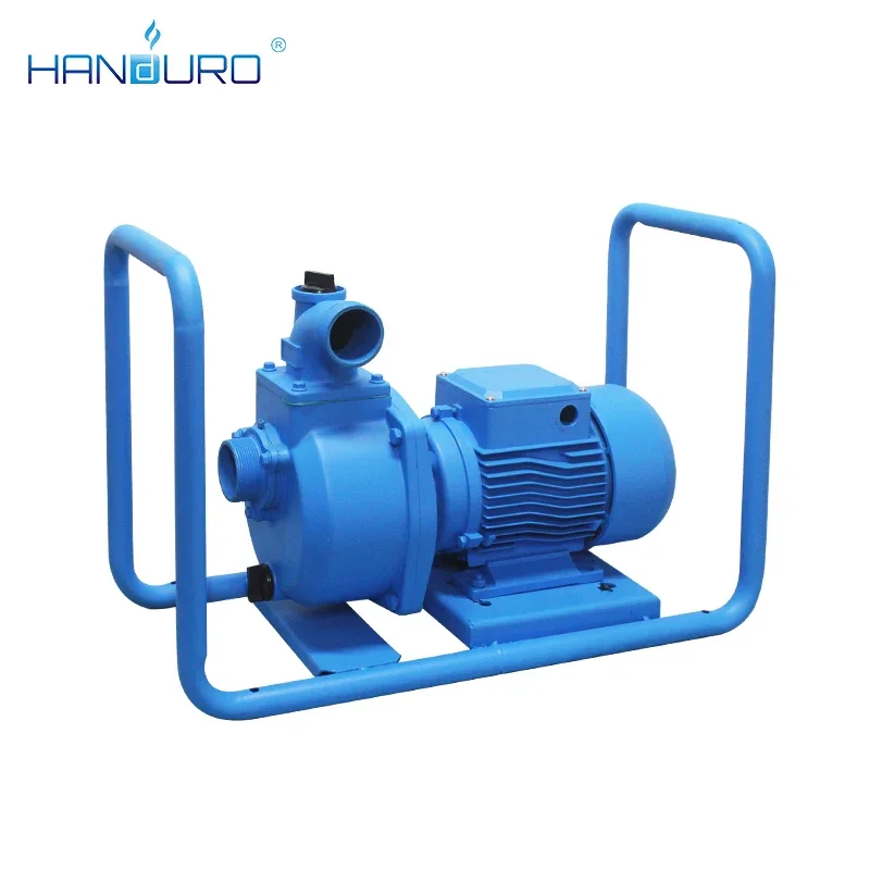 Close-up of the 2HP Solar DC Water Pump motor