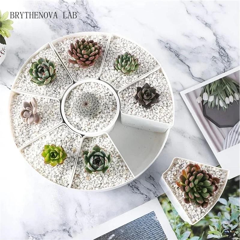 Oval shaped multiple rotatable flower pots - White succulent Plant Potted Plant - Pot Storage with Drainage Tray