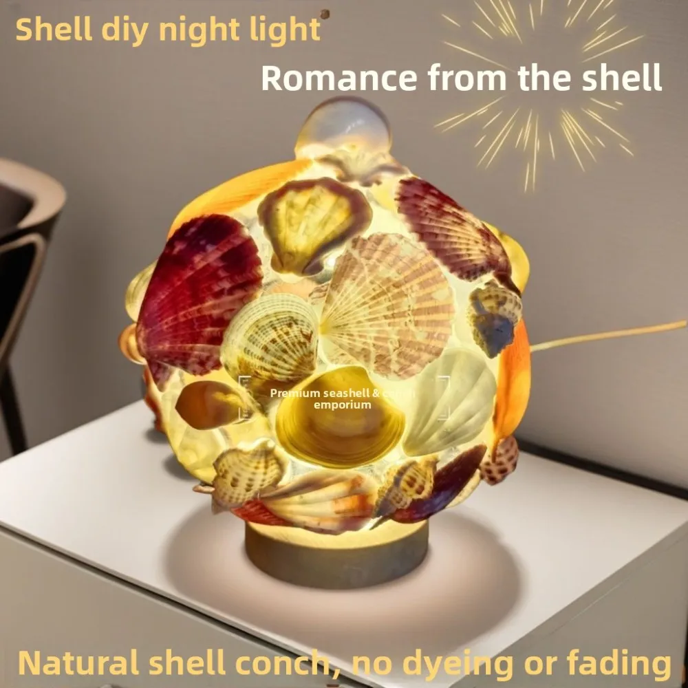 Natural Conch and Sea Urchin Shell Mini Night Light for Kids Birthday Gift DIY Craft Decoration Creative Home Ornament