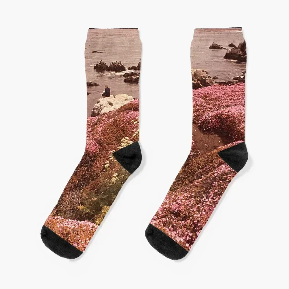 

California Pacific Grove, Monterey Bay NARA 543404 Socks shoes set winter thermal designer brand Women Socks Men's