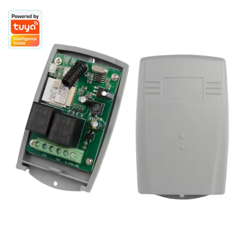 Tuya Inteligente Controle Remoto WiFi Módulo Interruptor Sem Fio, 2CH Polegadas, Auto-Locking, RF 433 Receptor, 10A