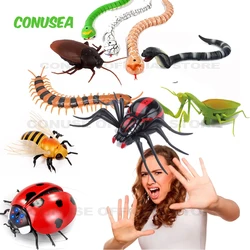 Creativity RC Remote Control Animal Insect Toy Kit for Child Kids Adults Cockroach Spider Ant Prank Jokes for Boys Pet Cat Dog