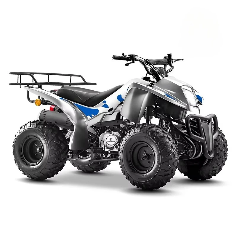 Electric ATV Quad Bike Off Road 4 Wheeler Hub Motor 3 Speed Voice Control Dune Buggy For Adults Kids