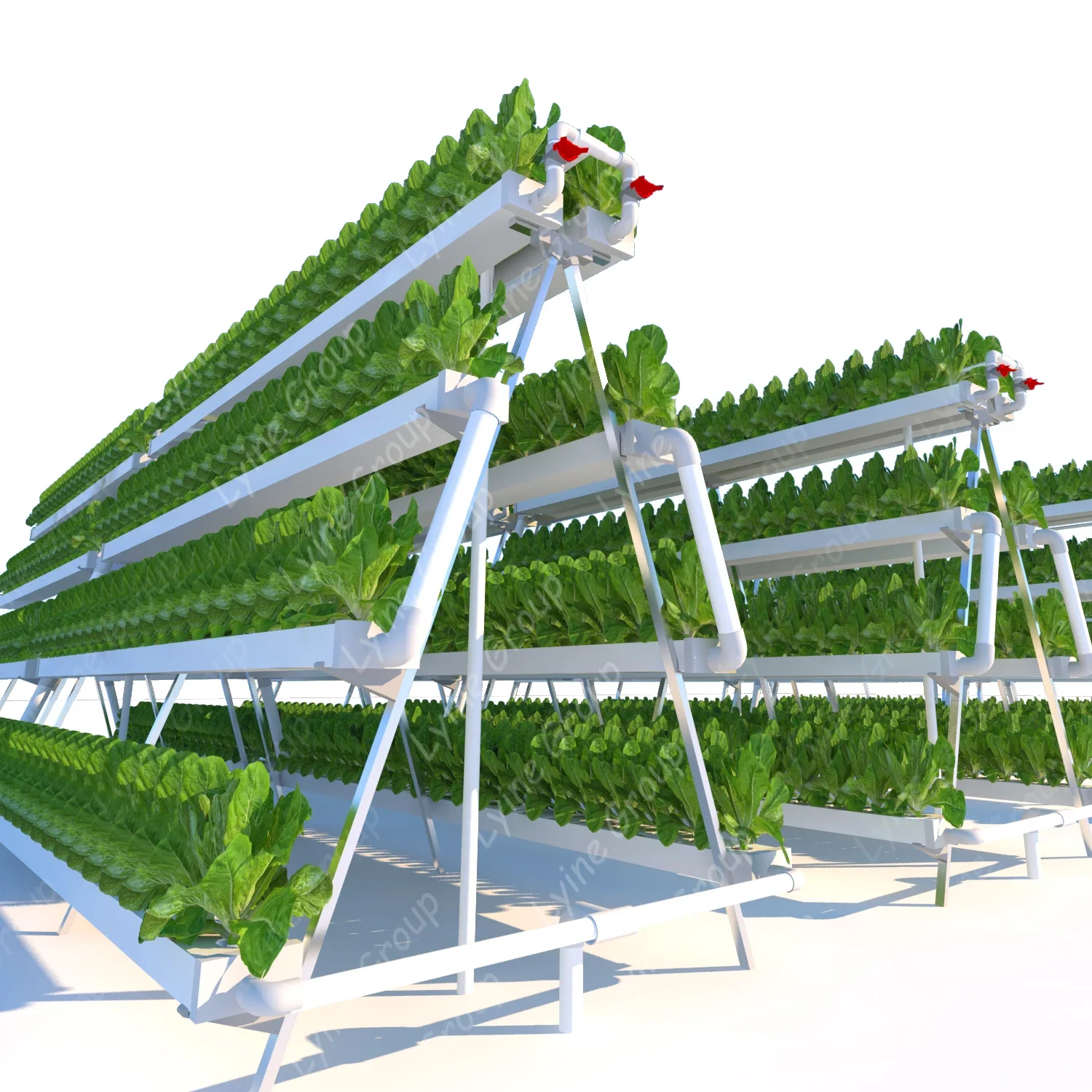 Lyine Agriculture Planting Nft Hydroponic System Nft Strawberry Rack
