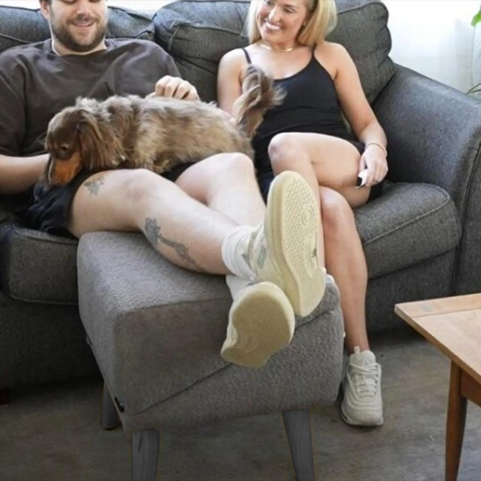 Thumbnail 2 - #26 Latest Puppy Ramps Offers