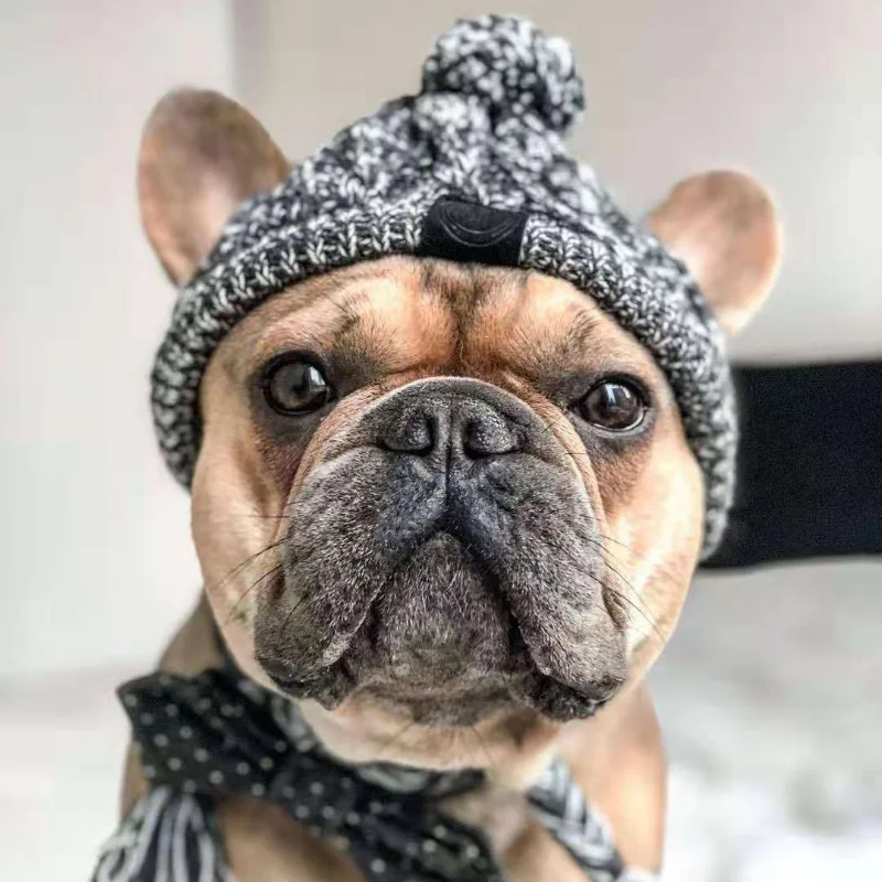 Winter Warm Dog Hats Windproof Knitting French Bulldog Chihuahua Hat Fluffy Ball Pet Hat Puppy Accessories