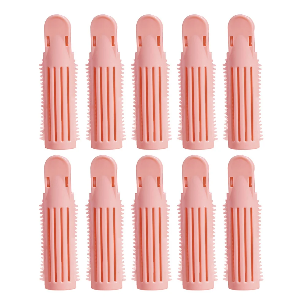 

10 Pcs Bang Clip Travel Hair Tools Volumizer Volume Abundance Clips for Abs Styler