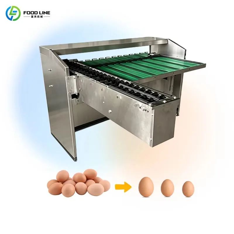 Industrial Egg Sorting Machine Automatic Egg Grader for Chicken Farms and Egg Packaging Facilities