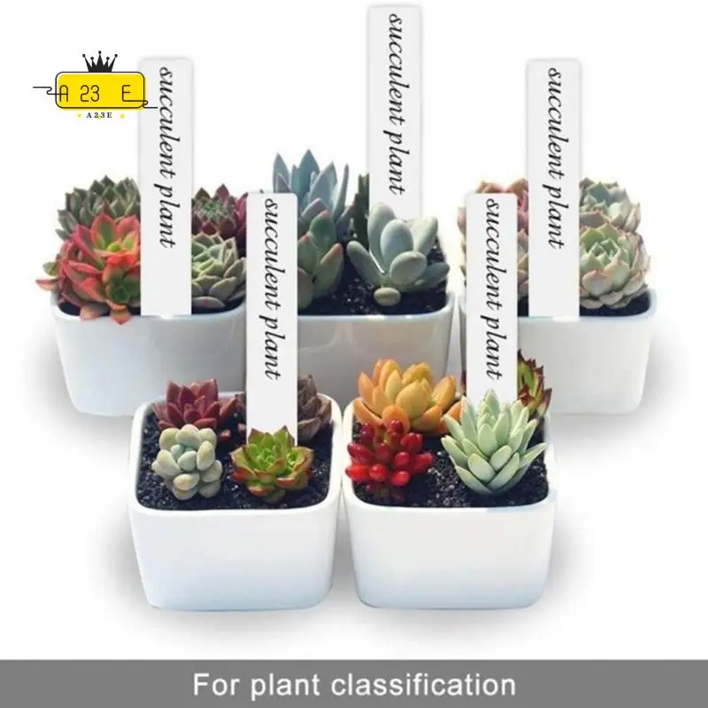 A23E-Garden Plant Labels, 5Cm, 100Pcs Durable Tags For Easy Plant Identification, Perfect For Gardeners And Plant Enthusiasts