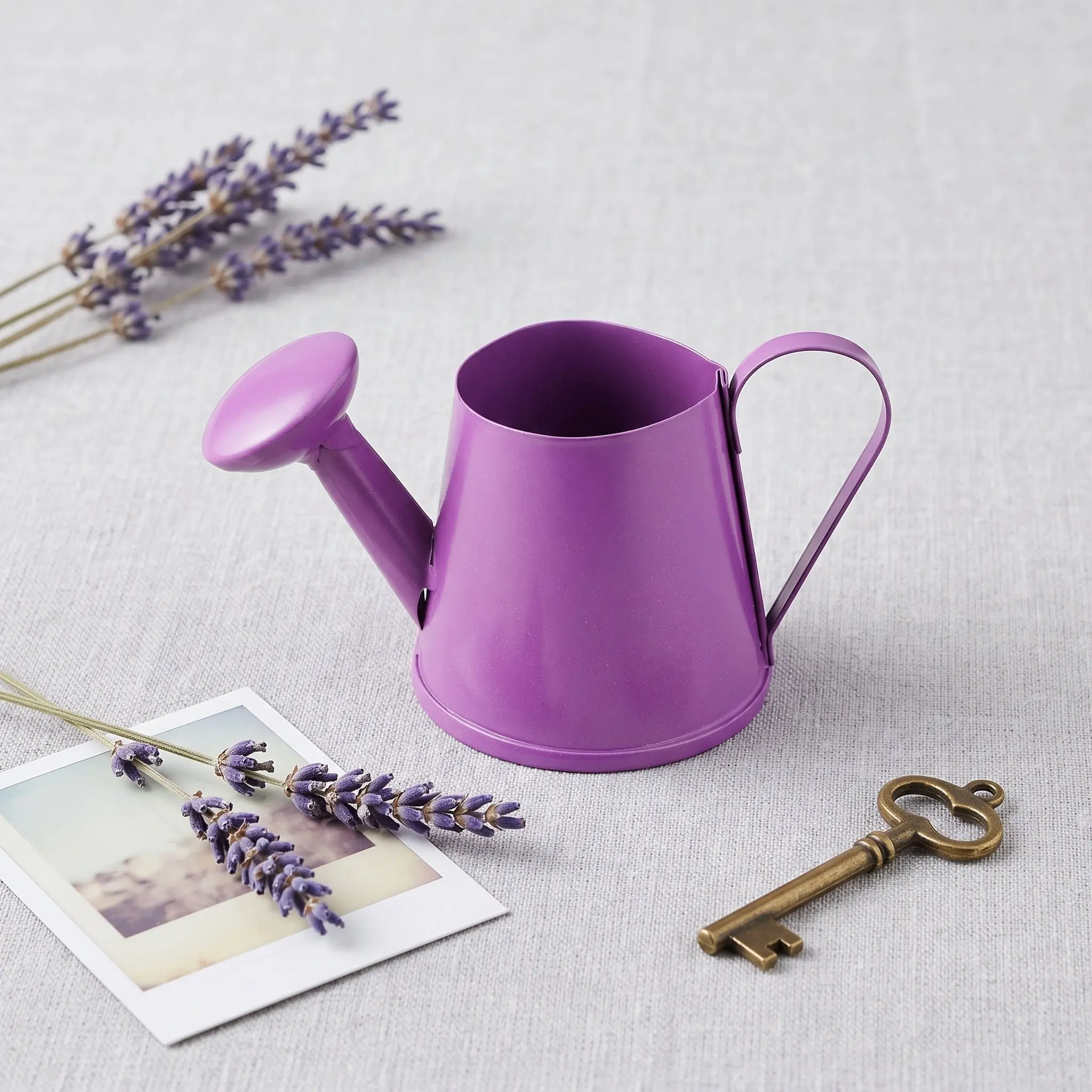4Pcs Mini Metal Watering Cans Children Garden Portable Small Plant Flower Watering Kettle Kids Ergonomic Handle view 2