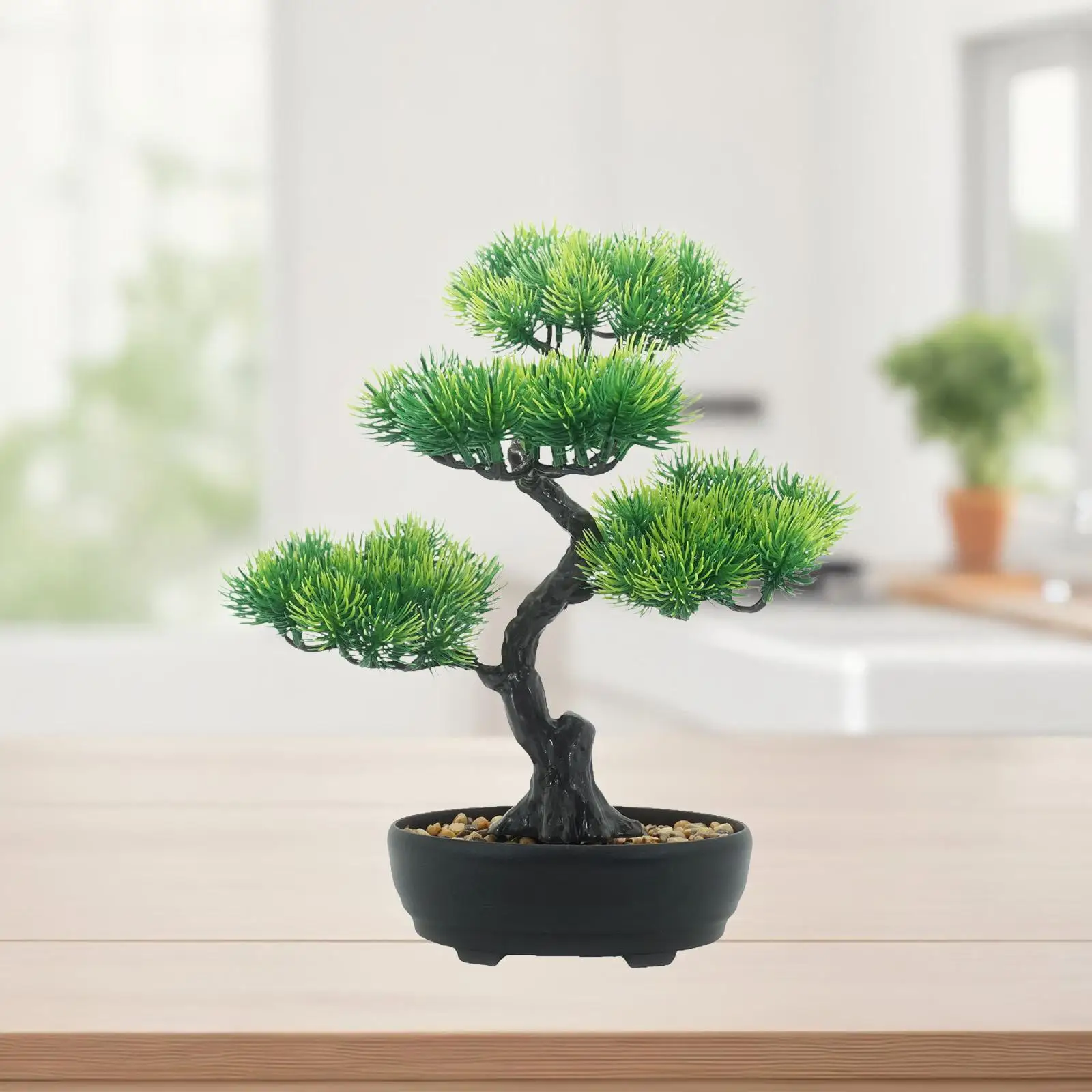 small bonsai trees Chinese Elm Bonsai Tree -Trained Curve Trunk Style