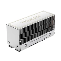 TEUCER M2-10 Dual Heat Pipe Heatsink M.2 2280 NVMe SSD Cooler with Thermal Pad Computer Accessories 3