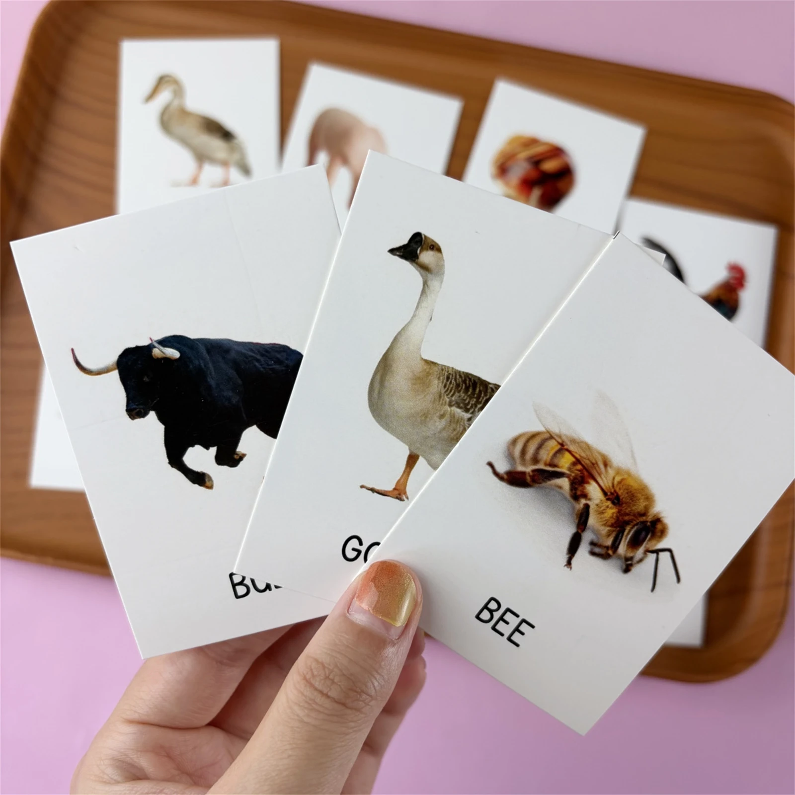 22Pcs Educational Flashcards Learning Farm Animal Vocabulary Cards for Preschool Kids Kindergarten Early English Home Study Set