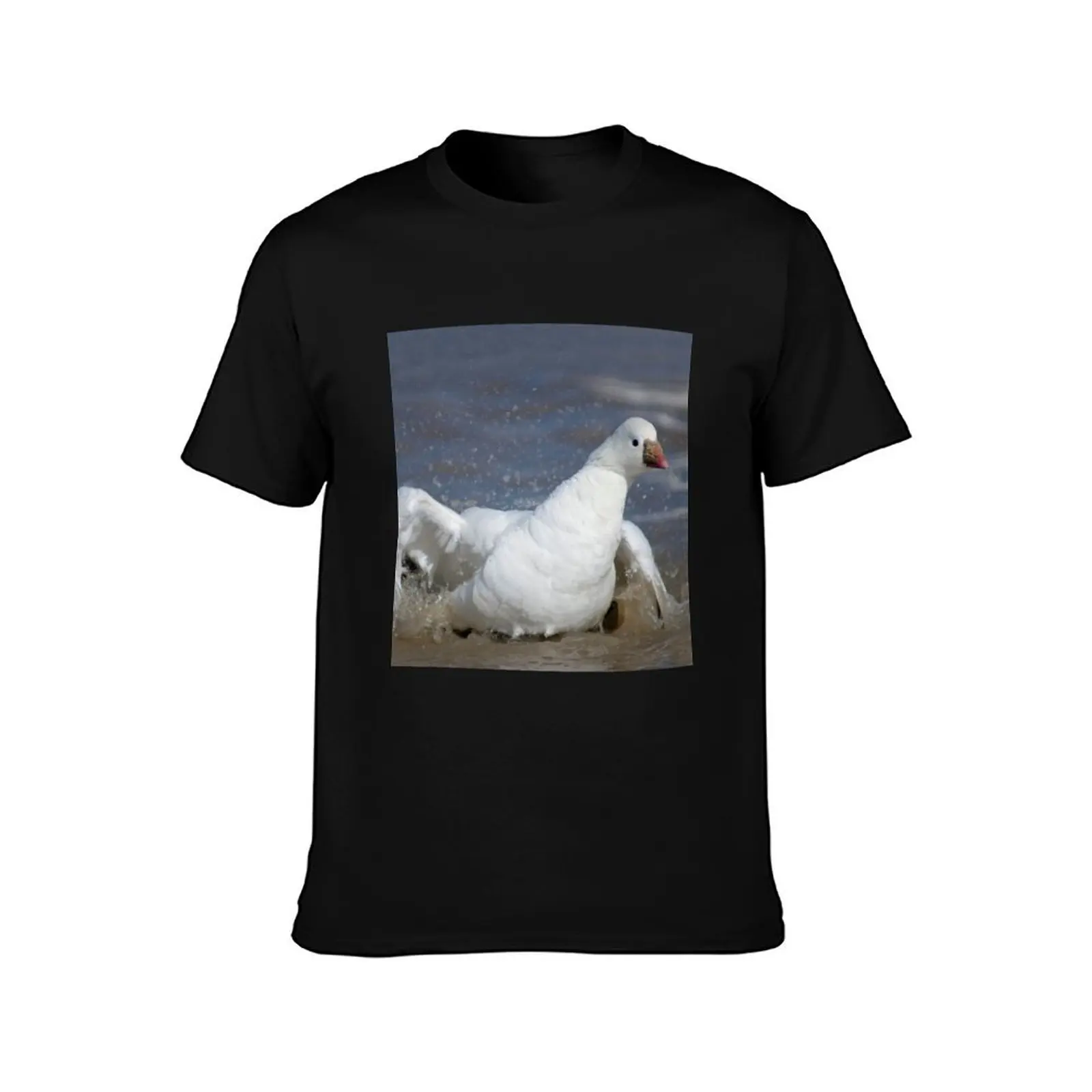 Curious Splashing Ross's Goose T-Shirt Plus Size Lightweight Tee Shirt